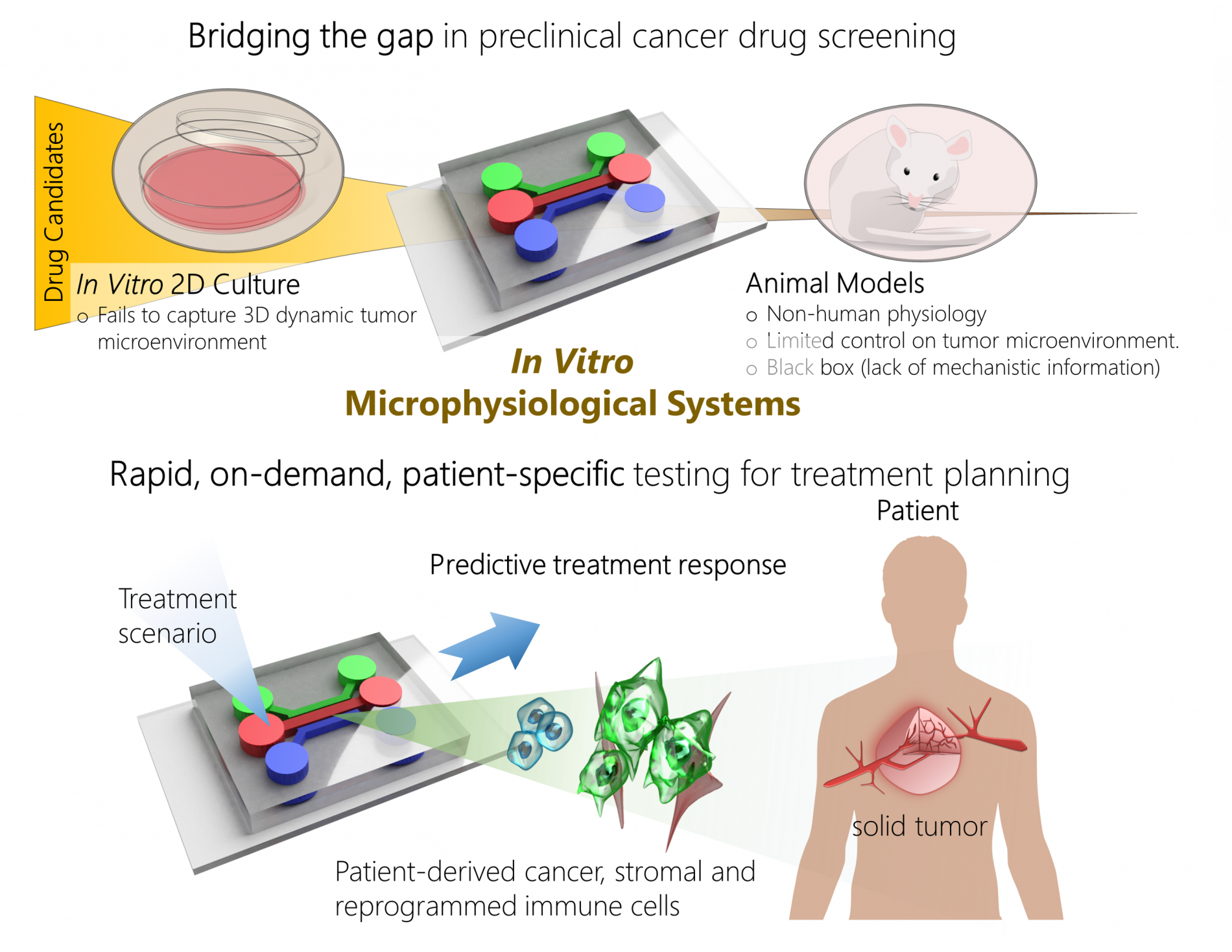 Microphysiological systems